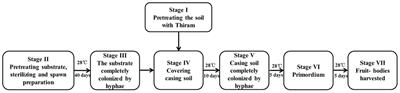 Bacterial Profiling and Dynamic Succession Analysis of Phlebopus portentosus Casing Soil Using MiSeq Sequencing